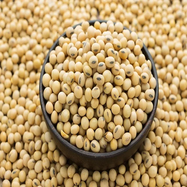 
 Высококачественная соевая желтая соя без ГМО/соевая без ГМО  