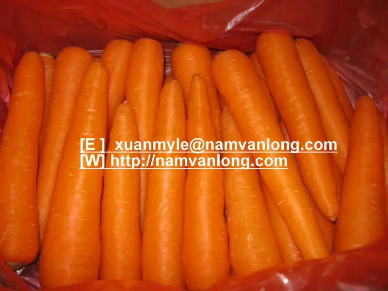 carrot_fresh_carrot_black_carrot_seeds_from