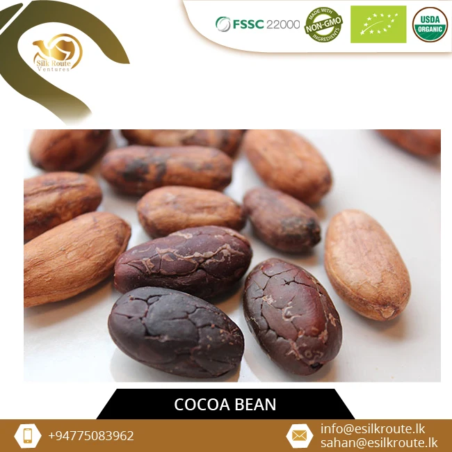 Питательные вещества, способствующие натуральному цейлонскому криоло, какао бобы