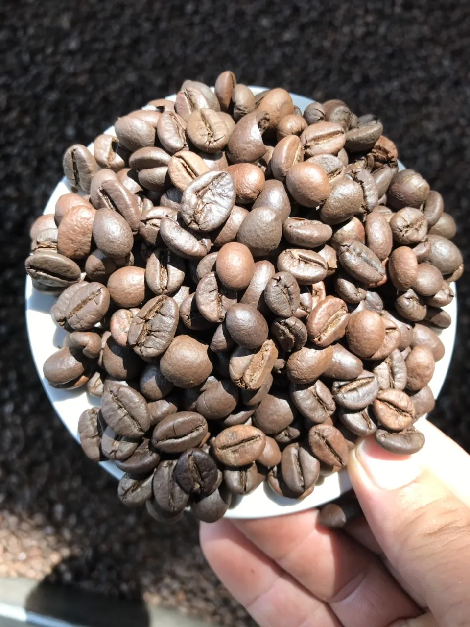 
Высококачественные жареные кофейные зерна, Аравия, робуста Эспрессо-Viber/Whatsapp: + 84905010988 