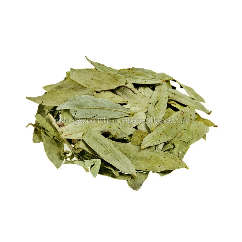 Сенна листья качество вручную P1 производитель Индия от NIK-MAY экспорта поо