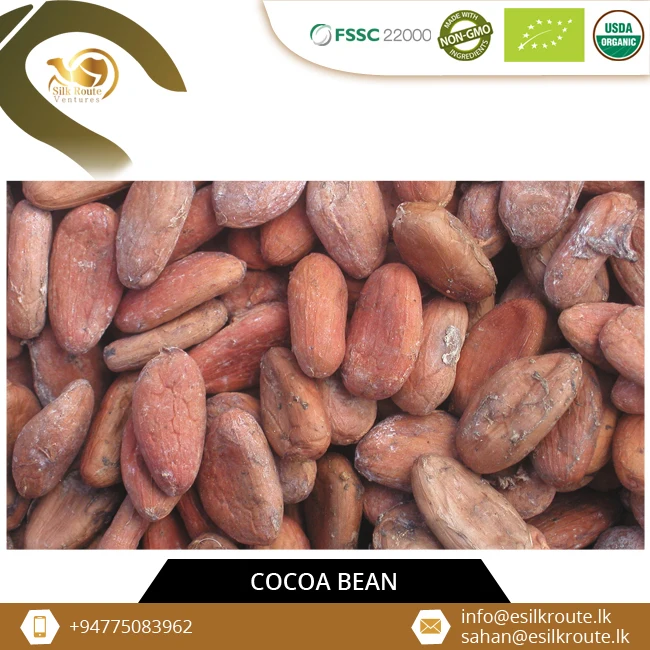 Питательные вещества, способствующие натуральному цейлонскому криоло, какао бобы