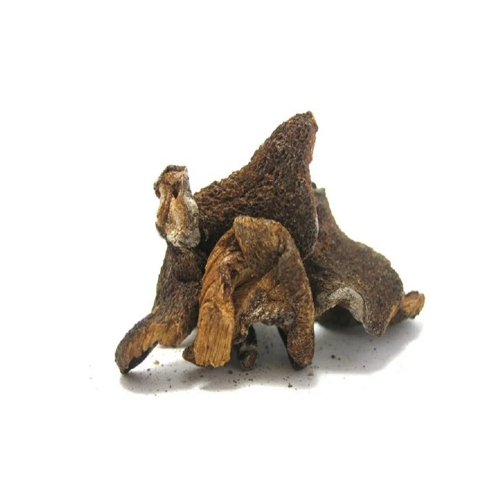 Dried Porcini Mushrooms.jpg