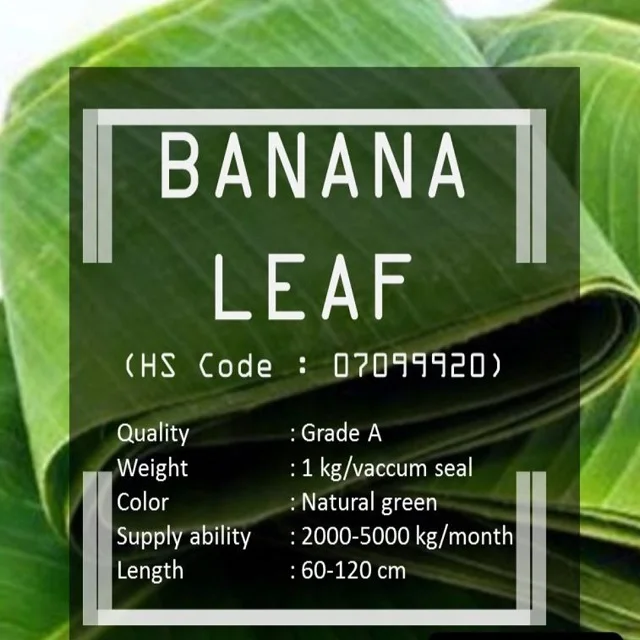
 Высококачественный банан из Индонезии по лучшей цене  