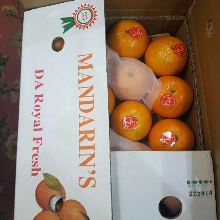 
Свежий органический оранжевый-класс А-мандарин-Kinnow из пакистана 