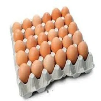 
Бройлерные инкубационные яйца Cobb 500 и Ross 308/Куриные кроссы/куриные яйца бройлера на продажу CIF 