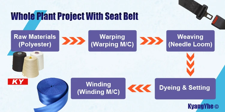 wholeplant-seatbelt-re1