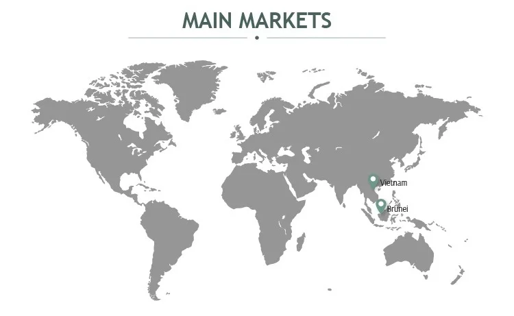 main market.jpg