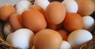 IMAG_02112.jpg