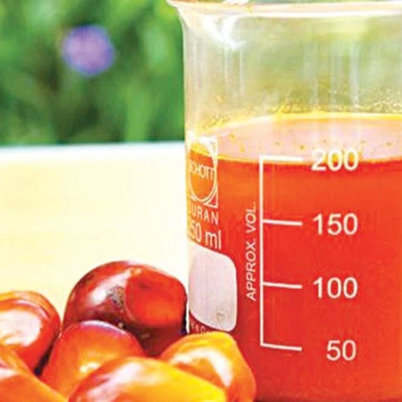 Crude Palm Oil.jpg