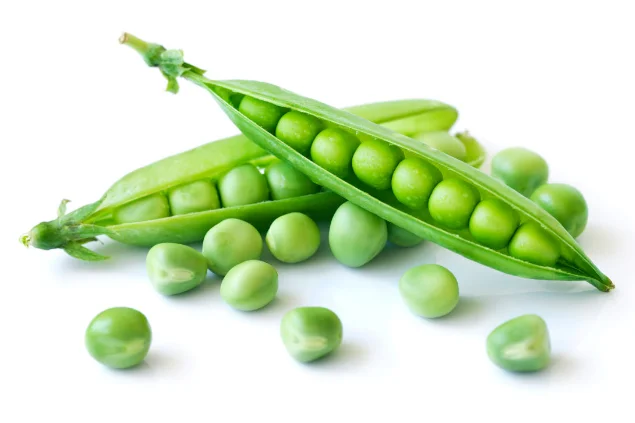 Canned Green Peas1.png