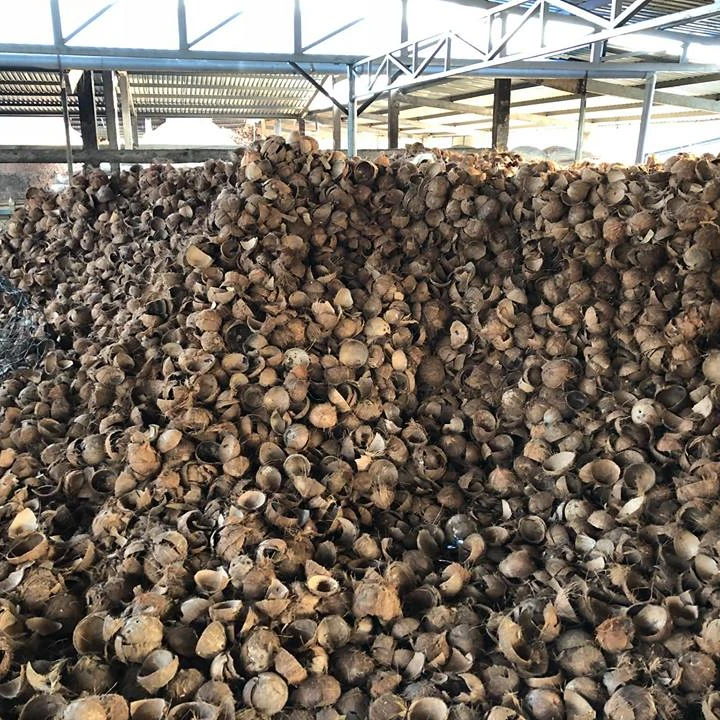 100% сырые кокосовые скорлупы по лучшей цене для приготовления древесного угля
