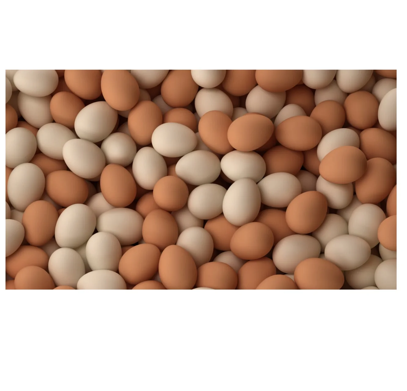 Оптовая продажа, яйцо, органическое, лучшее качество, Турция, ISO, халяль