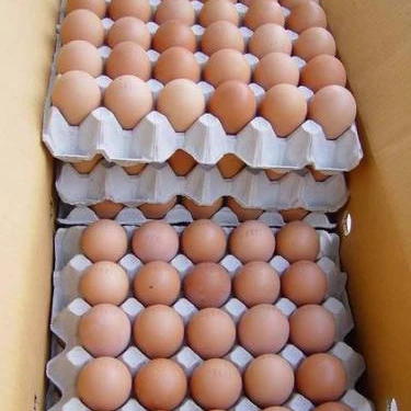 
 Свежие коричневые и белые куриные яйца  