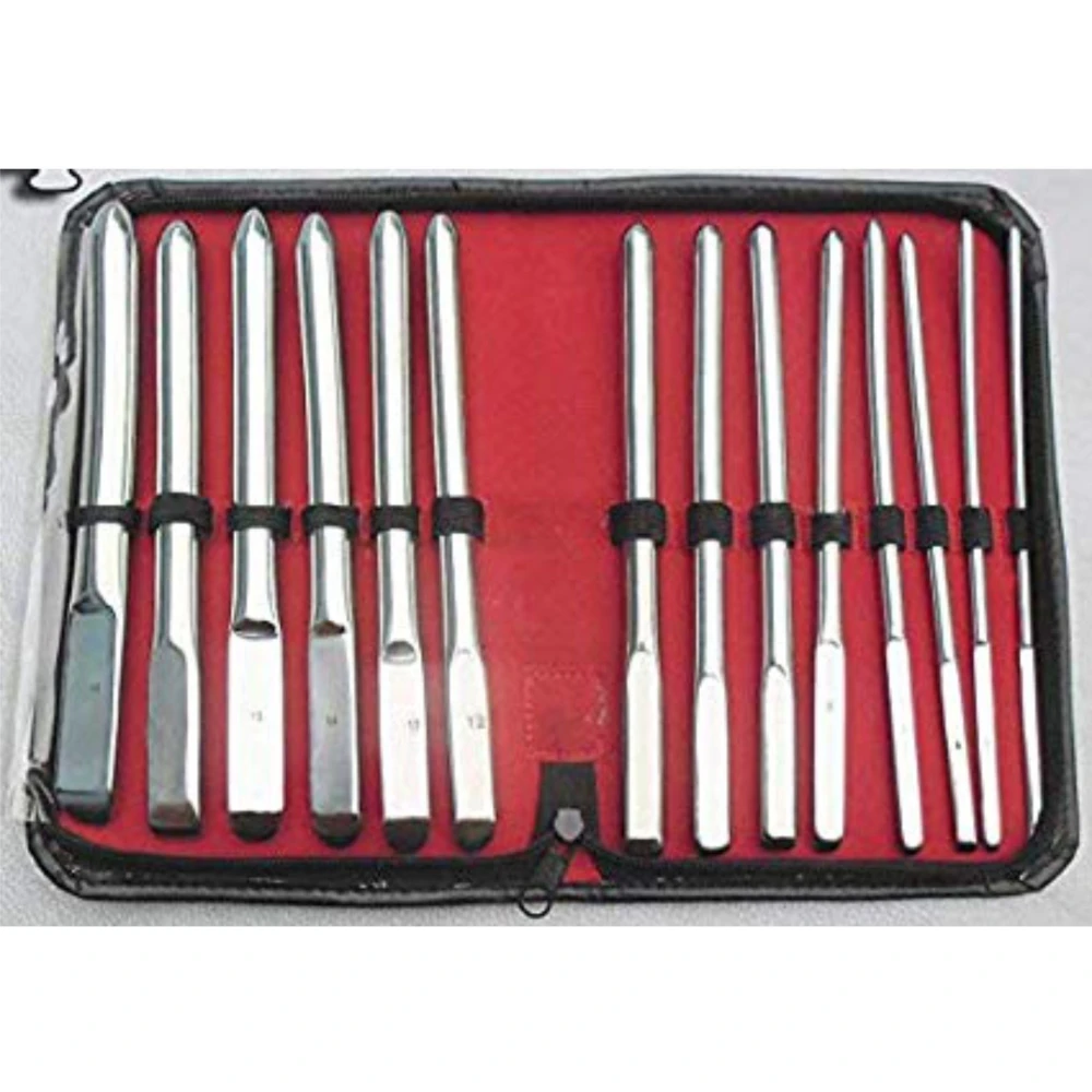 HEGAR SOUNDS DILATOR UTERINE URETHRAL DIAGNOSTIC GYNECOLOGY SINGLE ENDED 14 PIECES SET SURGICAL KIT       MGI-227