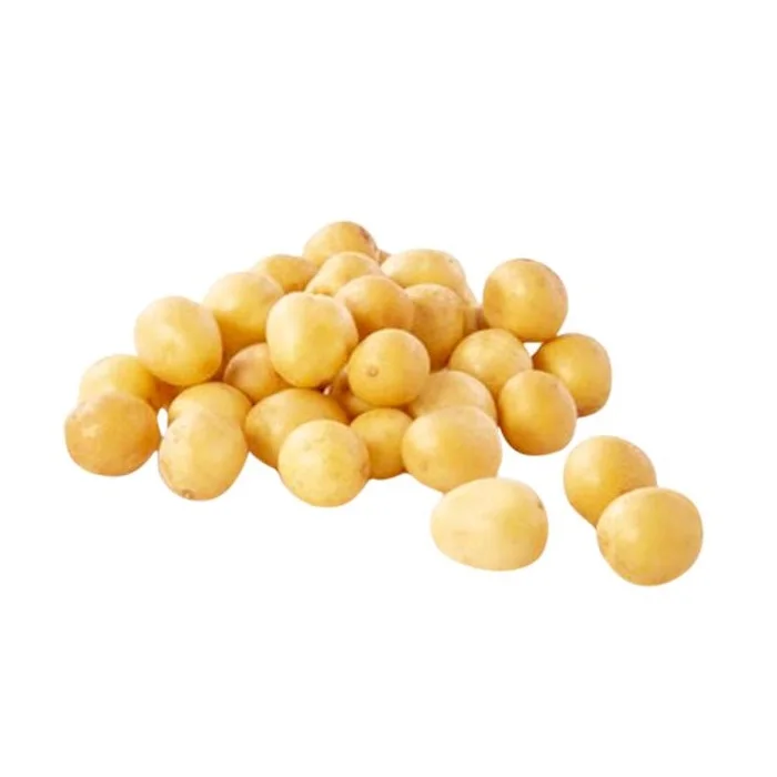 Organic Healthy Weight 100% High Quality Export Oriented Low Price For Wholesale Price Fresh Potato Holland From Bangladesh