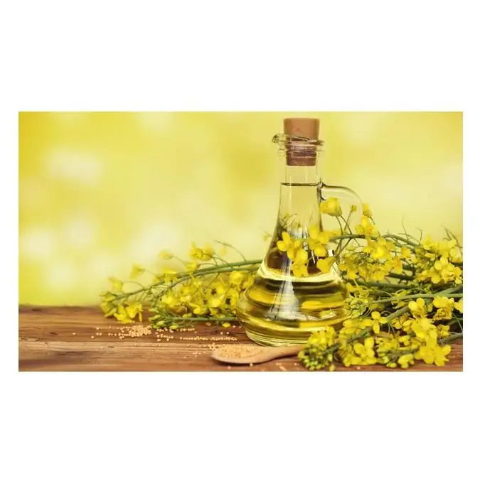 Wholesale 100% Natural Organic Rape Oil Plastic Bottle Canola Oil Rapeseed Oil For Cooking Cheap price