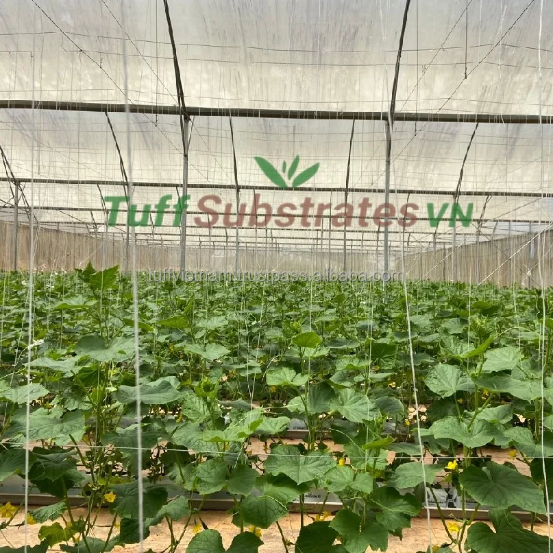 Design coconut husk ad  just table flower Strawberry melon and different Cucumber plant by 100% Organic from Producer In Vietnam