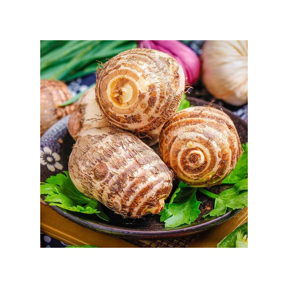 Fresh Taro горячая