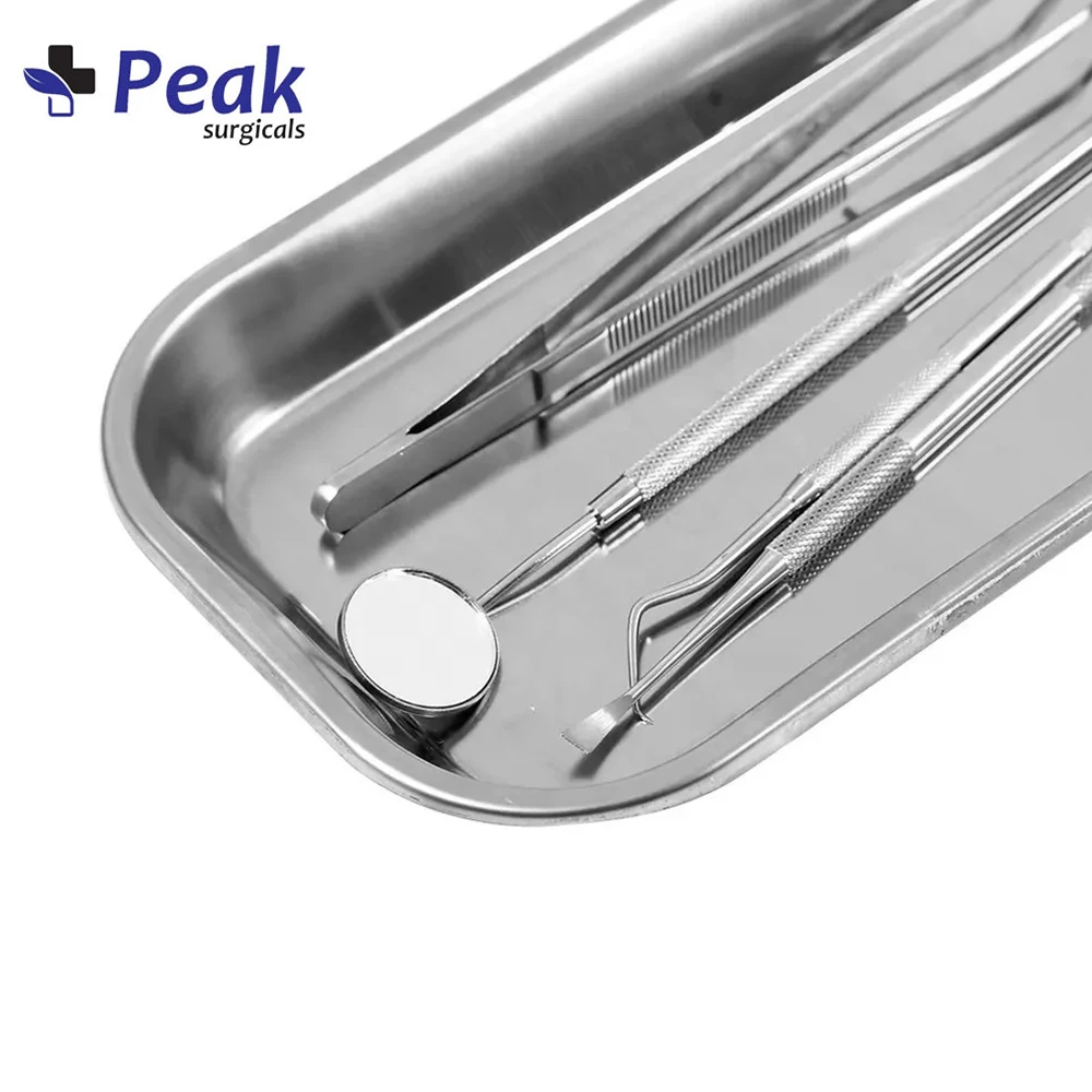 Stainless Steel Medical Instrument Tray Useful Tool for Clinic Lab Dental Instrument Tray Basic surgical instrument tray