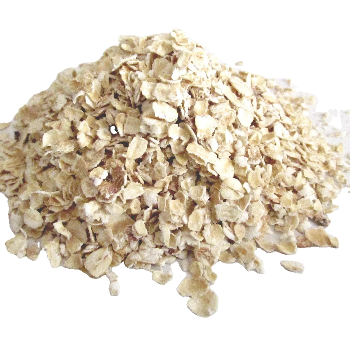 Hot Sale Malaysia Top Quality Oat Protein