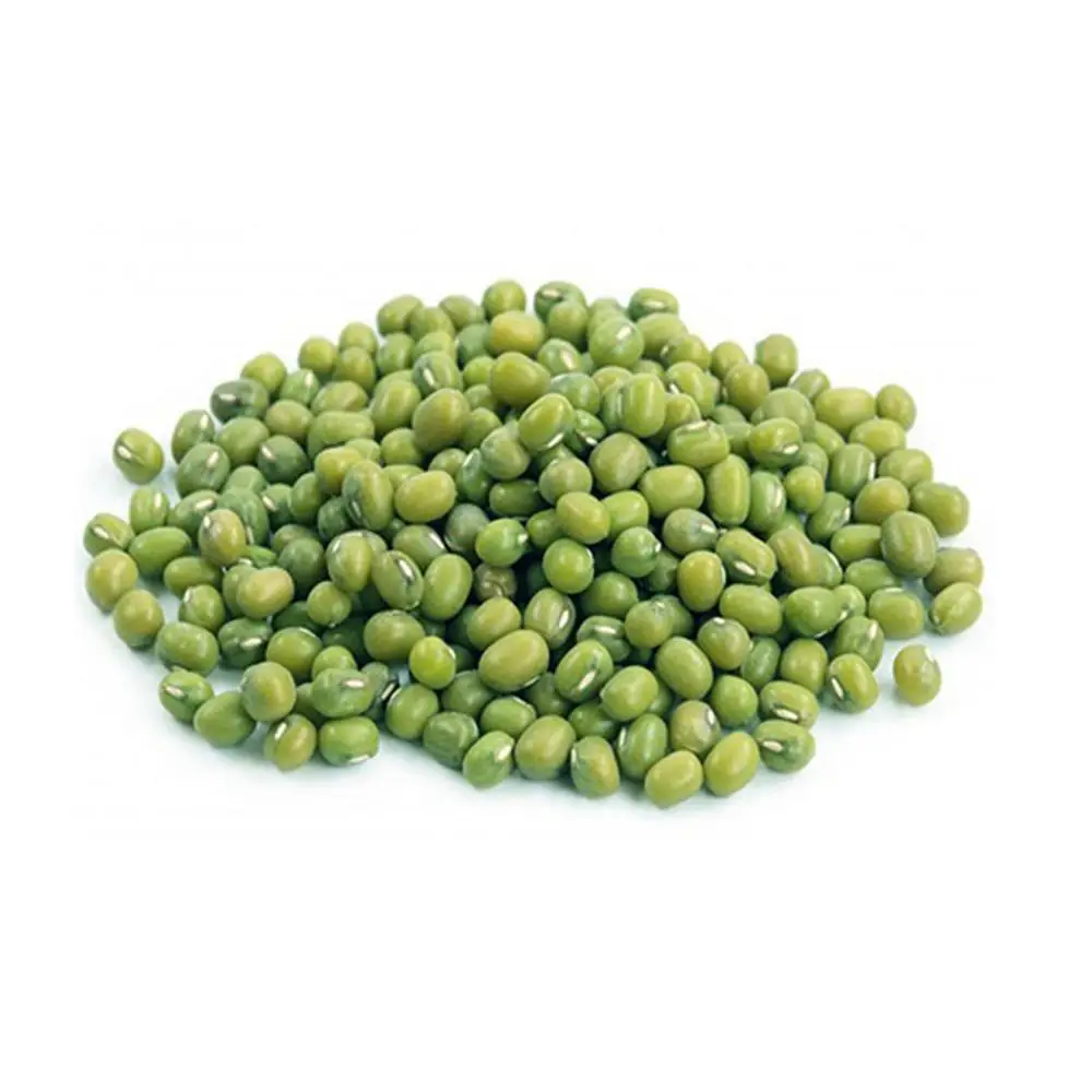 Wholesale dried green bean premium quality food grade bulk natural new crop Mung Beans high quality Mung Beans for sale