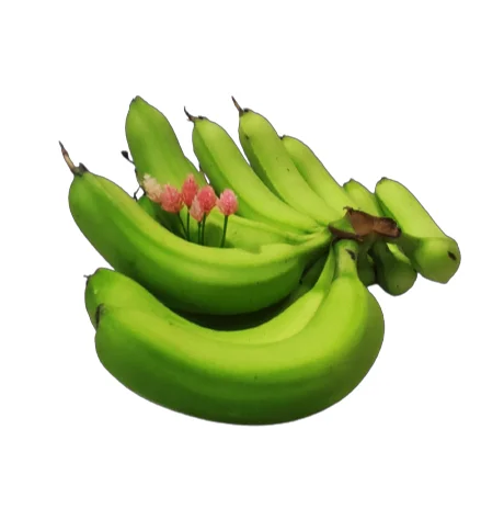 Best Sale Hot Supplier Wholesaler From Vietnam Grade B789 Cavendish Banana Cheap Price Low MOQ Fresh Fruit Healthy Nutrition