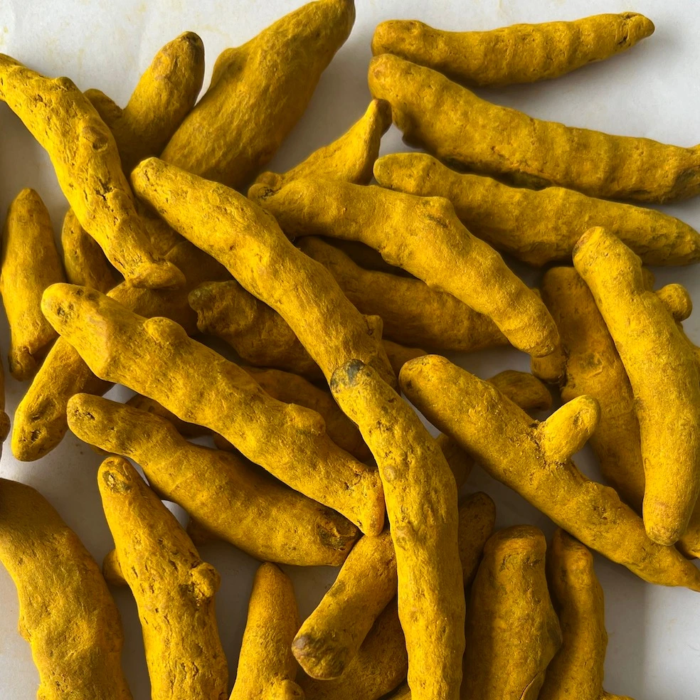 Indian Curcumin-Rich Turmeric Fingers High-Quality Curcuma Longa Fingers Bulk Turmeric Fingers for Wholesale Spice-Grade