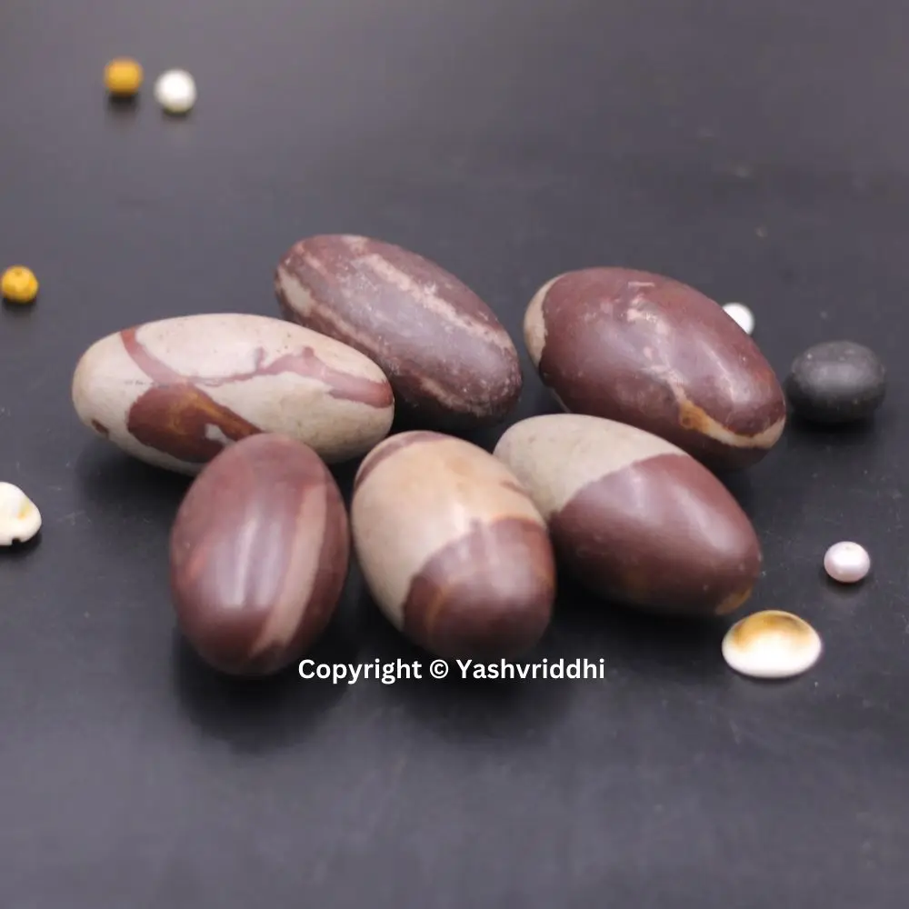 Premium Quality Shivling Narmadeshwar Lingam Natural Energy-Charged Sacred Shiva Stone for Spiritual Use or Gift