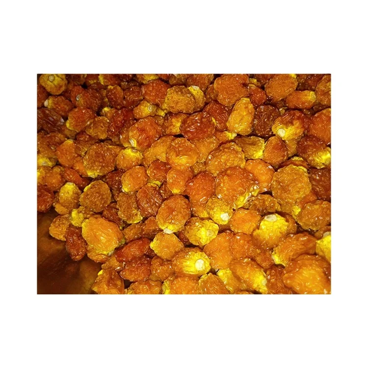 Factory Direct Supply Top Quality Natural Dried 100% Pure Golden Dried Long Sized Nutrition Enriched Golden Dried Berry