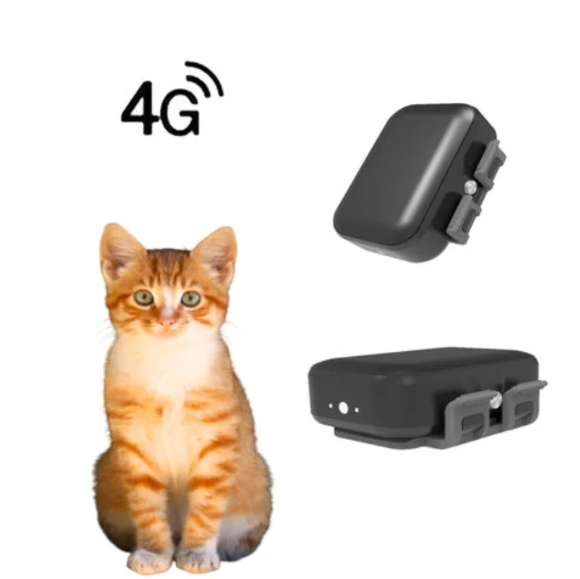 4G Network Tracker Sound/Light Seeking Tracker Locator Historical Route Geo-Fence Waterproof IP67 Tracker for Pets