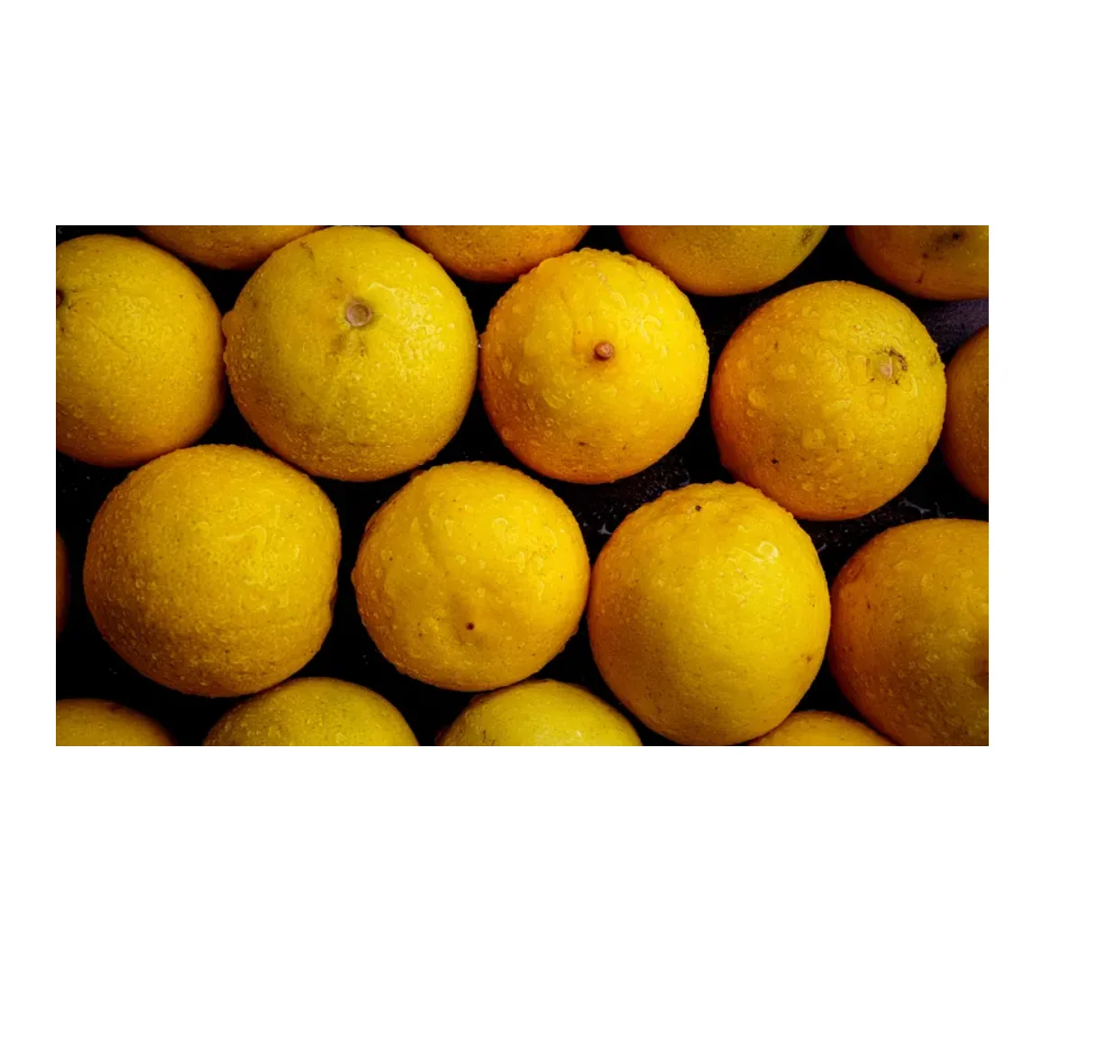 Get Your Supply of Fresh Lemons for Sale Cheap Perfect for Garnishing Drinks and Flavoring Dishes Enjoy Freshness Today