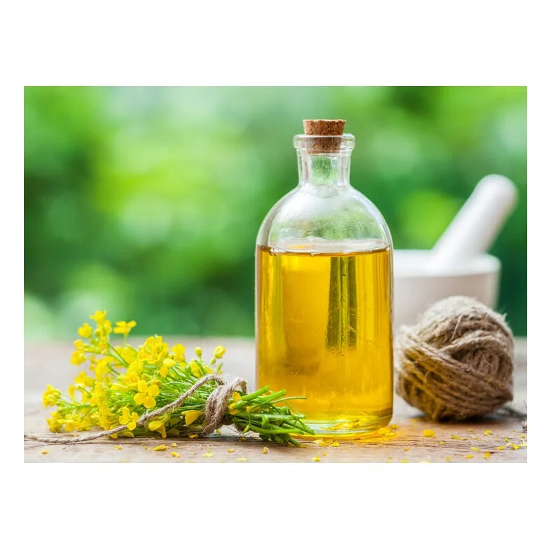High Quality Refined Canola / Rapeseed Oil For Cooking Available For Sale At Low Price