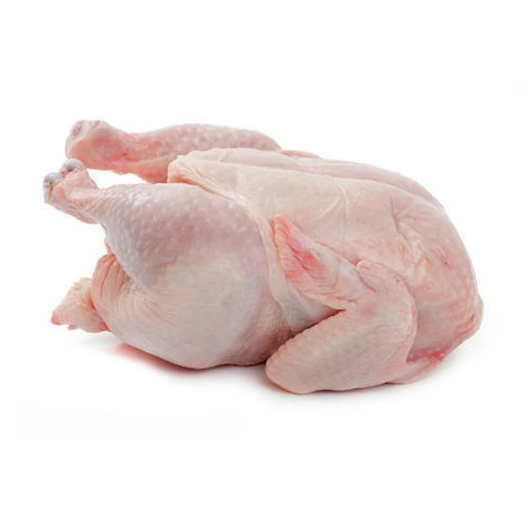 Reliable Market Price Export Quality Wholesale Selling 1.0kg - 3.0kg Weight Frozen Whole Chicken