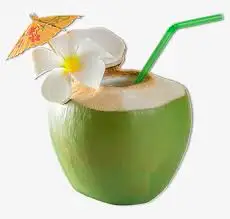 FROZEN RAW COCONUT WATER +84947900124