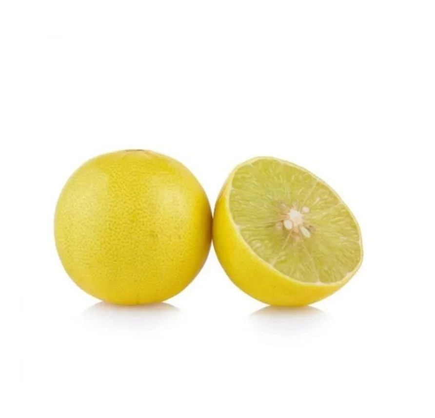 Manufacturer New Crop yellow lemon Fresh Lemon