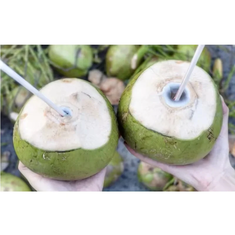 Beverages Agriculture Vietnam Product Fresh Fruit Juice Filtered Type Quality Raw Natural Green Organic Frozen Coconut Water