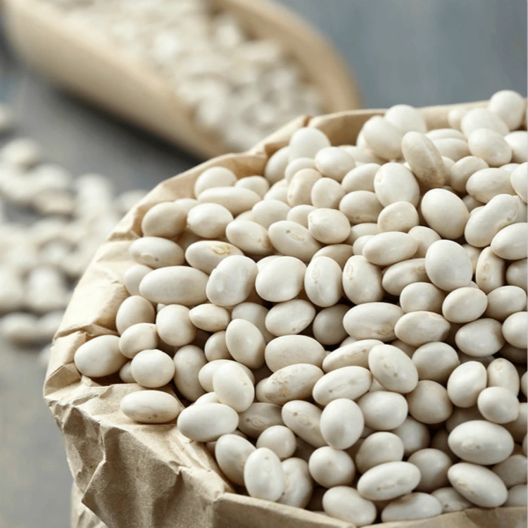 Kidney Beans 2023 New Crop Red Kidney Beans Price