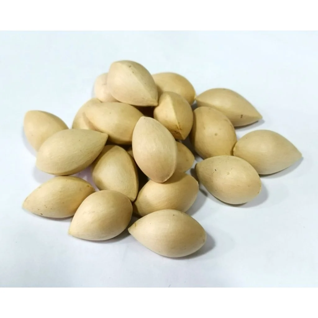 Wholesale Supplier Of Bulk Fresh Stock of Dried Ginkgo Nuts