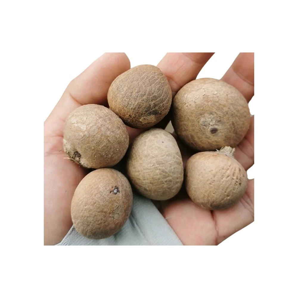 Best Selling Export Quality Areca Whole Betel Nut High Quality Betel Nuts Products From Thailand
