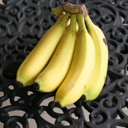 High Quality Fresh Premium Green Yellow Bananas Best Price Directly from Producers in India