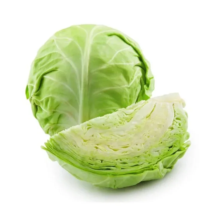 Hot Sale Fresh Vegetable Exporter With Fresh Chinese Cabbage Top Quality Cabbage Supplier From Bangladesh