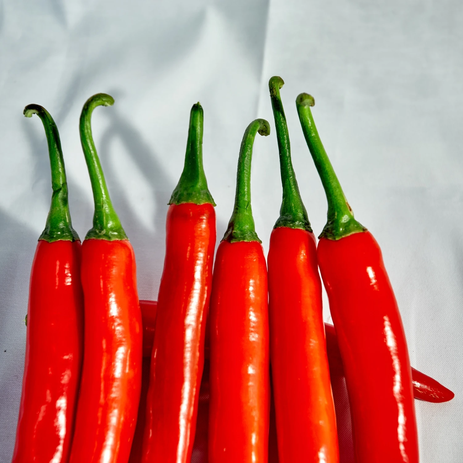 Wholesale Vietnam Of Cheapest Price Fresh Chili Pepper Fresh Capsicum 100% Natural Seasoning New Crop Chili Pepper High Quality