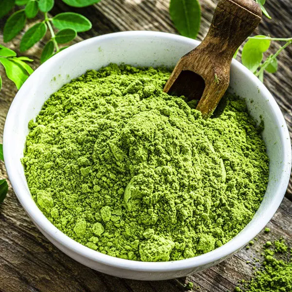 Terra Bio Organic Moringa Oleifera Leaf Powder Healthy Use for Medical Cosmetic Product Export From India