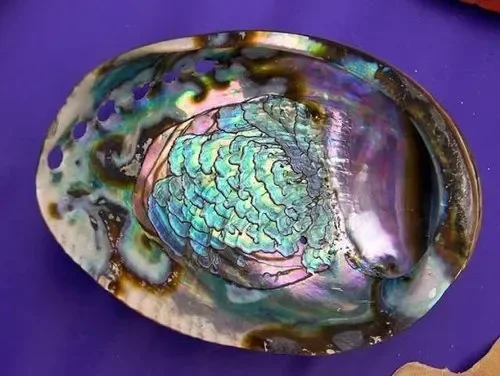 Best Quality Abalone shell Gemstone Best Quality Natural Abalone Shell Mix Shaped Gemstone For Jewelry Making Use at wholesale