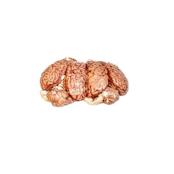 low price Healthy Beef Brain Premium Quality  High Quality Beef Brain Customer Demand Best Price