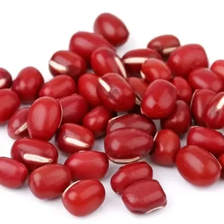 High Quality Green Mung Beans Best Quality Wholesale Dried Green Beans 5.0mm for Wholesale Price