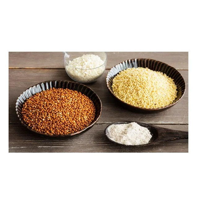 New Harvest Dried Style Organic Cultivation Type 100% Pure Natural French White Millet for Bulk Purchase