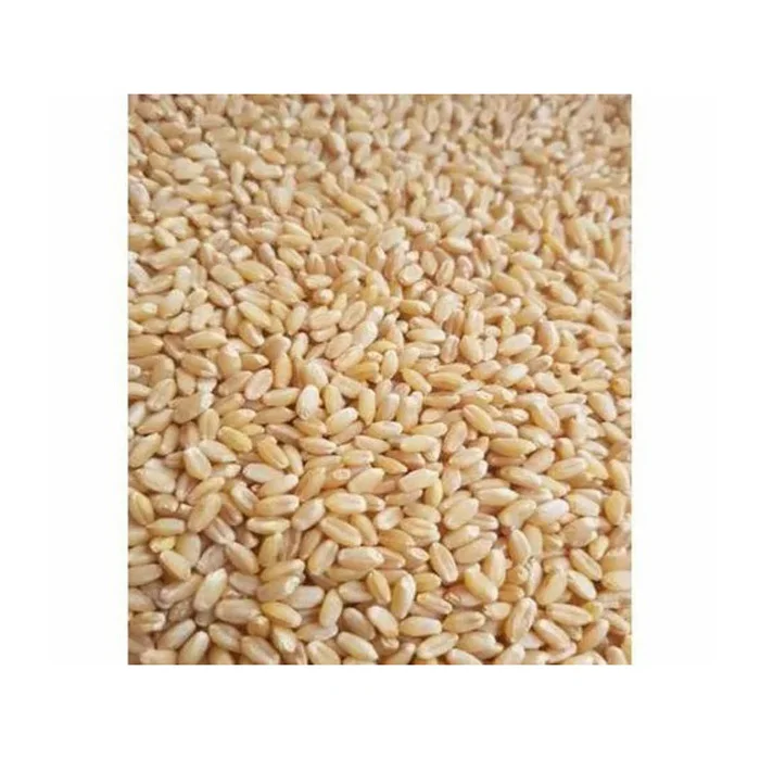 PREMIUM QUALITY Wheat Cereal  Grain in Bulk / Hight Quality Wheat, Whole