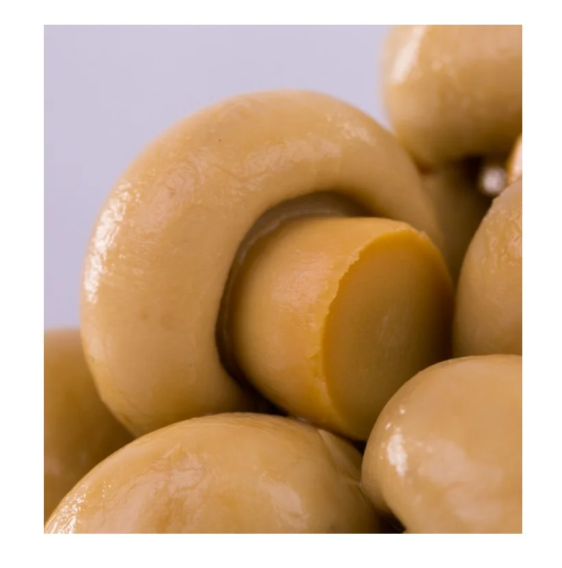 Консервированные грибы/ломтики консервированных грибов/цена